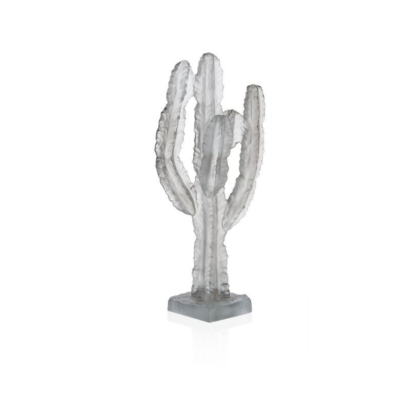 Cactus Gris Jardin de Cactus de Emilio Robba Edition Numérotée